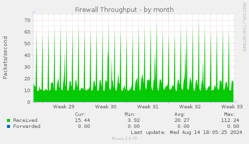 Firewall Throughput