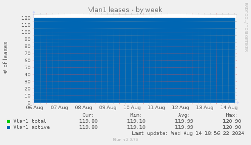 Vlan1 leases