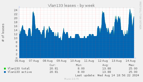 Vlan133 leases