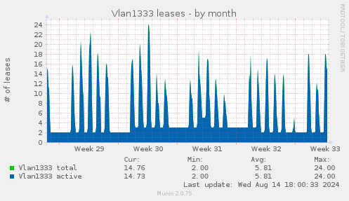 Vlan1333 leases