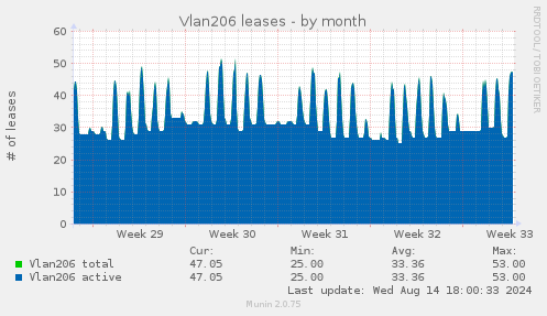 Vlan206 leases