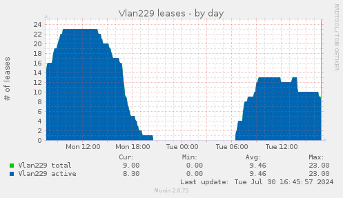Vlan229 leases