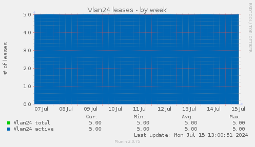 Vlan24 leases