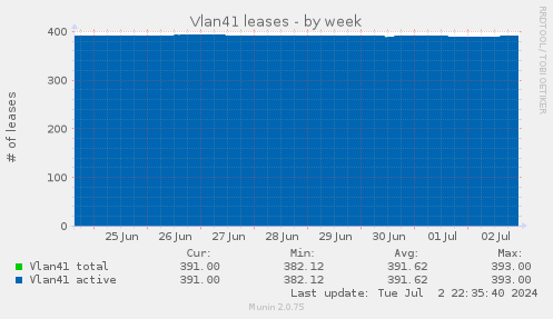 Vlan41 leases