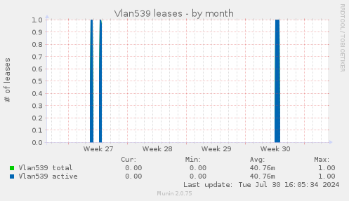 Vlan539 leases