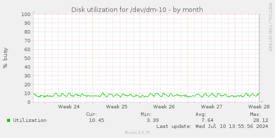 Disk utilization for /dev/dm-10